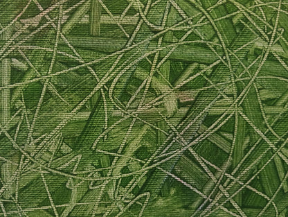 Foresta Interiore — dettaglio segni grafici verde oliva
